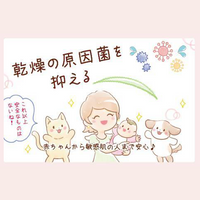 エイチジンビューティー